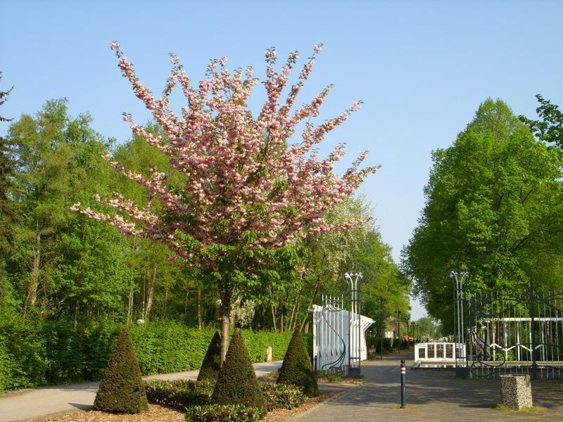 Haus Stallmeister Lippstadt Exterior foto